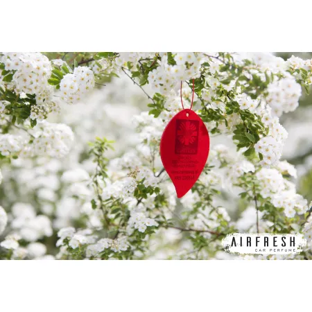 Zawieszki zapachowe z filcu z grafiką klienta (500 szt)